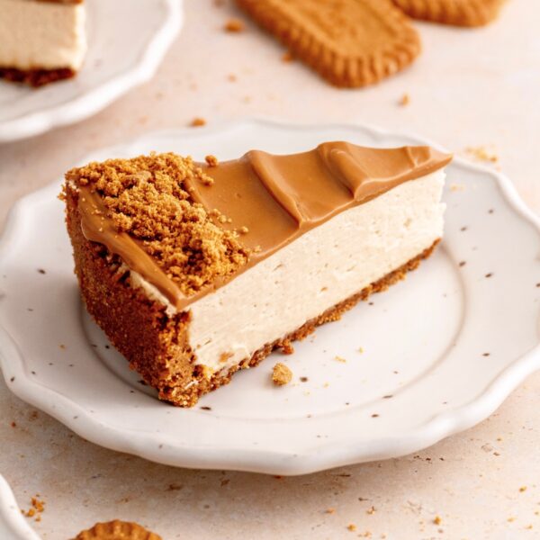 Cheese Cake